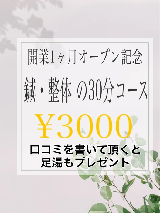 画像268