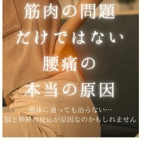 画像275