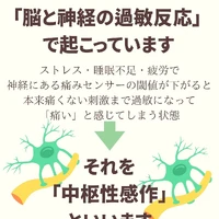 画像277