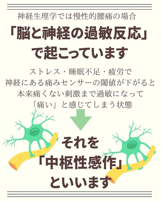 画像277